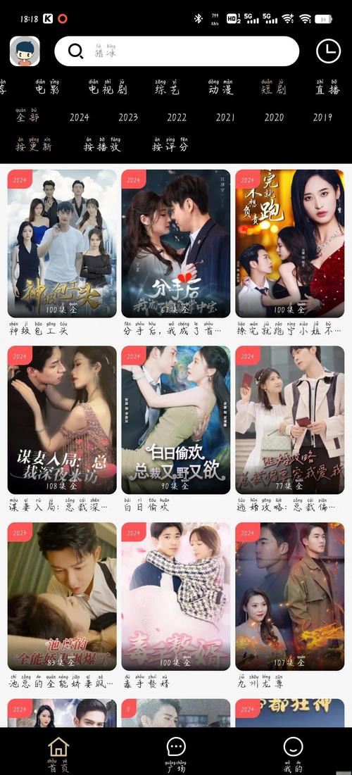 日韩黑丝av的相关介绍
