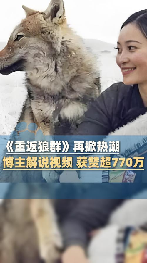 欧美50老熟妇xxxxx的相关介绍