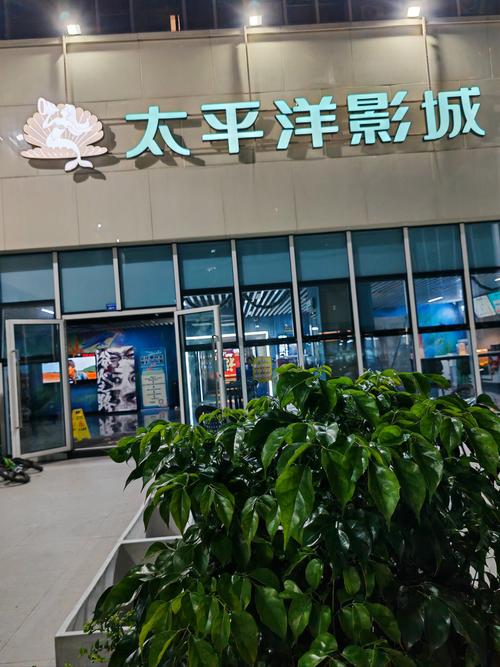 抢先视频app下载入口的相关介绍