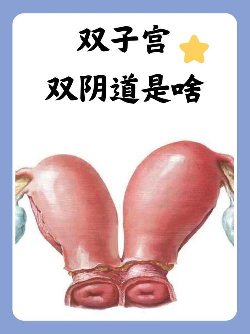 男老师和女学生啪啪啪的相关介绍