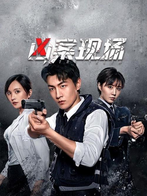 老司机亚洲精品影院无码的相关介绍
