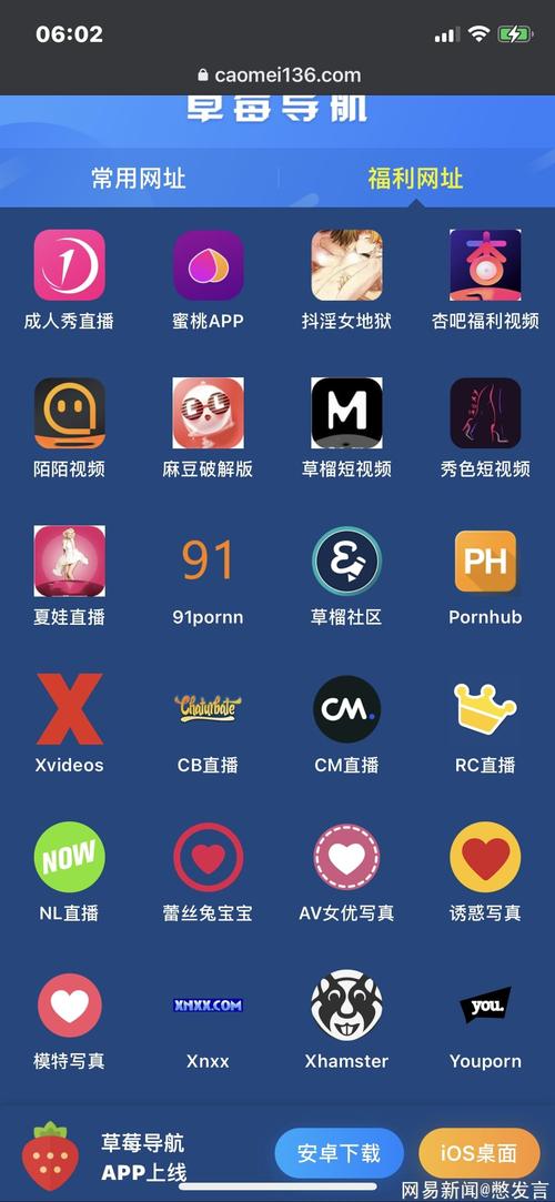 欧美老熟妇bbbbbb的相关介绍