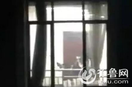 免费看视频app下载的相关介绍